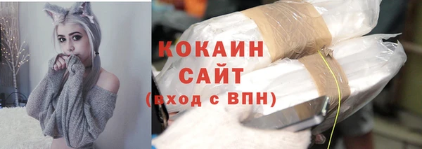 дмт Рославль