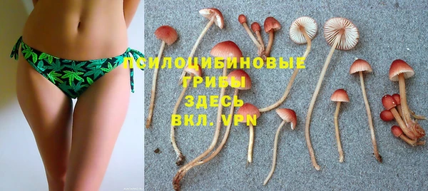 дмт Рославль