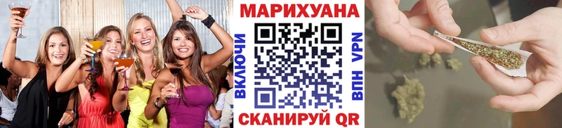 Купить где  Лосино-Петровский  Канабис сатива 